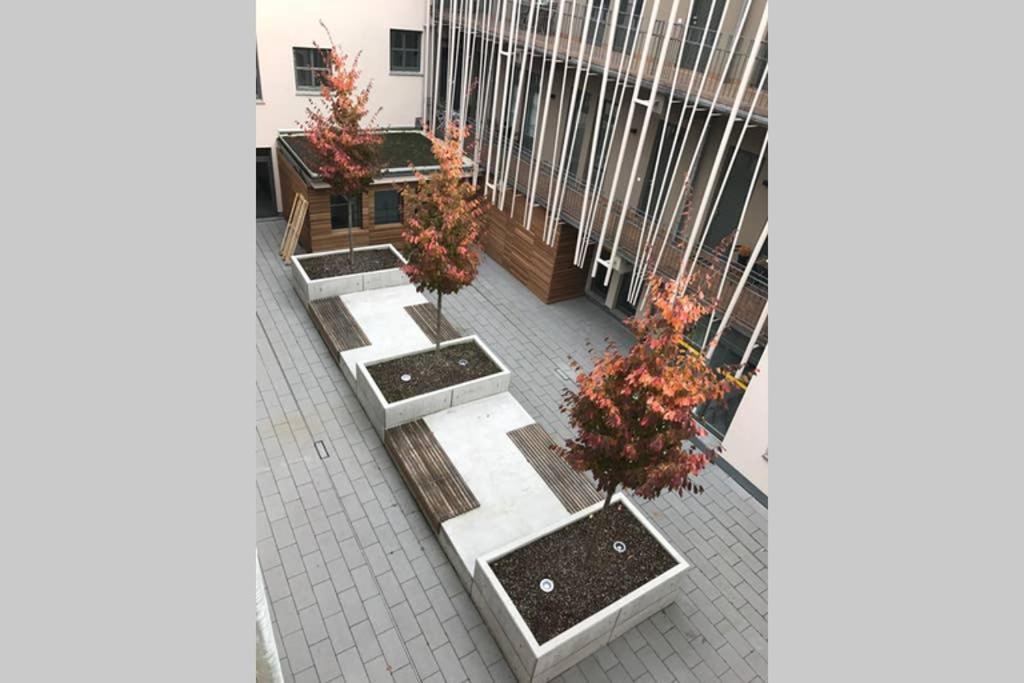 דירות ויסבאדן Sonnig, Modern, Zentral Mit Parkhaus Nebenan Checkin123 מראה חיצוני תמונה
